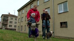 VIDEO: Ostrá Výměna manželek: Útoky nožem i rány pěstí!