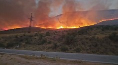 Vlna veder sužuje Balkán. Albánie a Řecko čelí lesním požárům