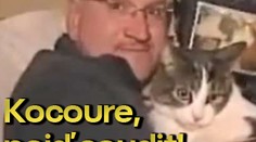 Kocoure, pojď soudit!