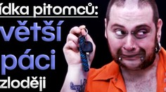 Přehlídka pitomců: největší hlupáci mezi zloději