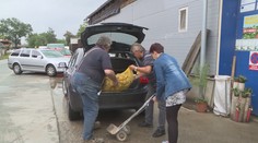 Brambory koupíte i za tři koruny! Rady, kde je seženete nejlevněji