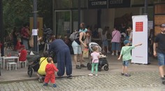 Den pěstounů v pražské zoo. Město připravilo speciální akci