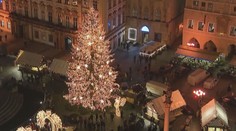 Na Staroměstském náměstí se rozsvítil vánoční strom. Zdobí ho úsporné LED žárovky