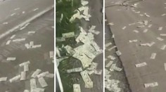 Obrněný vůz posypal dálnici penězi, vypuklo šílenství! VIDEO