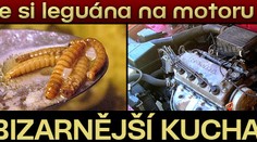 Uvařte si leguána na motoru auta! NEJBIZARNĚJŠÍ KUCHAŘKY