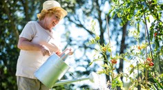 Studie: Pravidelné zahradničení může lidem po mrtvici prodloužit život