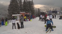 Vlekaři si zoufají. Znovuotevření je v nedohlednu a bojí se o bezpečnost