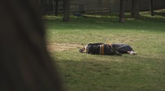 Češi jsou ohroženi chudobou nejméně v EU. Je to zkreslené, tvrdí odborníci