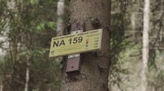Znáte tyto značky? Nachází se po celém Česku, mohou vám zachránit život