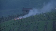 VIDEO: Francouzské víno v ohrožení! Za vším je prudké ochlazení