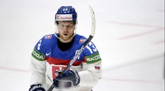 Pomátli se. Na Slováky se snáší kritika. Do KHL prý míří další hráč