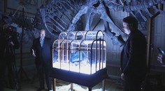 Vědci vytvořili unikátní kabelku. Je potažená kůží tyranosaura