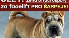 ÚLET! Žena utrácí úspory za facelift PRO ŠARPEJE!
