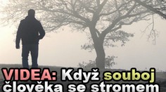 VIDEA: Když souboj člověka se stromem vyhraje strom...