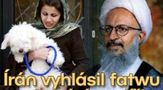Írán vyhlásil fatwu na domácí mazlíčky