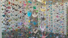 Umění z papíru. Žena vytváří origami na památku obětem koronaviru
