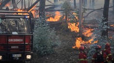 Tisíce hasičů v Portugalsku čelí lesním požárům. Úřady hlásí desítky zraněných