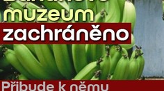 Banánové muzeum zachráněno. Přibude k němu "erotická" expozice