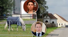 Nejstřeženější koně Česka patří Pancové a Kottovi! Péči o ně platí stát! Kolik to stojí?