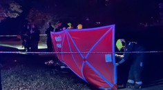 Dva zásahy policistů skončily střelbou a smrtí. Případy se bude zabývat GIBS