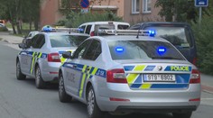Recidivista měl za tři měsíce stihnout 12 krádeží. Za mřížemi strávil půl života