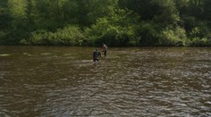 Vodáky na Vltavě vyděsilo tělo mrtvého muže. Příčinu úmrtí odhalí až pitva
