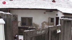 Živí 19 koček, sama nemá na chleba