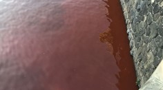 VIDEO: Vltava se v Praze kvůli protestu zbarvila do krvavě rudé