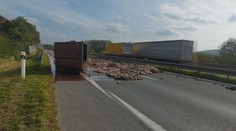 Nehoda kamionu na jihu Čech: Kusy mrtvých zvířat zablokovaly silnici u Písku