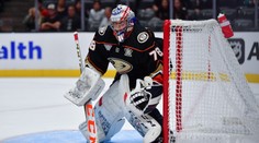 Na ledě: Suchánek o svém zranění a NHL