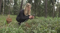 Aplikace na rozpoznávání rostlin a hub jsou stále oblíbenější. Využívají je i vědci
