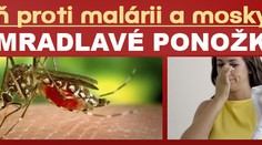 SMRAD PONOŽEK: Nejlepší prostředek pro boj s malárií