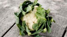 Čerstvý květák obsahoval koktejl pesticidů, odhalila inspekce