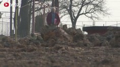 Důchodce vyhrál bitvu s úředníky, za rozkopání pozemku dostane odškodné