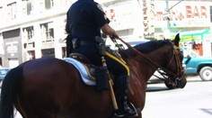 Kůň shodil policistu a běhal po Manhattanu
