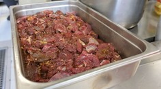 Na Slovensku začali servírovat medvědy. Ne každému ale zastřelené šelmy voní