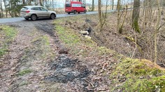 Nález ohořelého těla na Děčínsku: Policie zadržela muže, zná i identitu mrtvé ženy