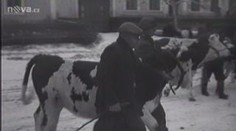 Budou potrestáni viníci kolektivizace? Rozhodne vrchní soud