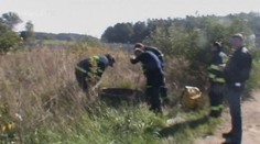Srna spadla do kanalizace. Vytáhnout ji, to byl oříšek! VIDEO
