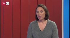Gayové a lesby si manželství zaslouží, má jasno aktivistka