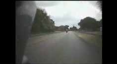 Když šílenec na motorce potká srnku