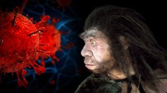 Nejen covid teď. Koronaviry udeřily na lidi už před 20 tisíci lety, zjistili vědci