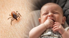 Repelent nebo očkování? Pediatr radí, jak ochránit děti před klíšťaty