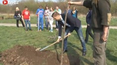 Výsadba nových lesů v Praze v roce 2013 zahájena