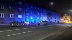 Pejskař přecházel ulici a srazilo ho auto. Muž je zraněný, pes nepřežil