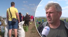 Farmář nabídl zeleninu za pakatel. Lidé ji kradli a vyhrožovali mu zabitím