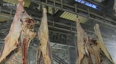 DAŇOVÝ ÚNIK! Firma okradla stát o 140 milionů při obchodu s MASEM