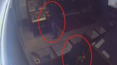 Šperky za miliony mohou být v lese! Hledají je policejní psi