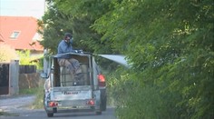 Jedovatým postřikem hubilo město plevel i u hřišť! Lidé si vymohli zákaz