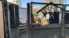 Muž měl v Českých Budějovicích umlátit ženu (†46). Hrozí mu až 18 let vězení